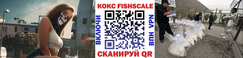 COCAIN Fish Scale  гидра вход  Верея  где продают  