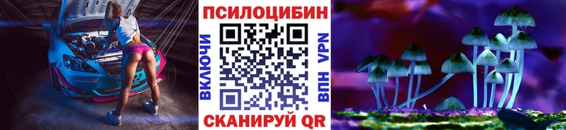 Галлюциногенные грибы Psilocybine cubensis  купить закладку  Верея 